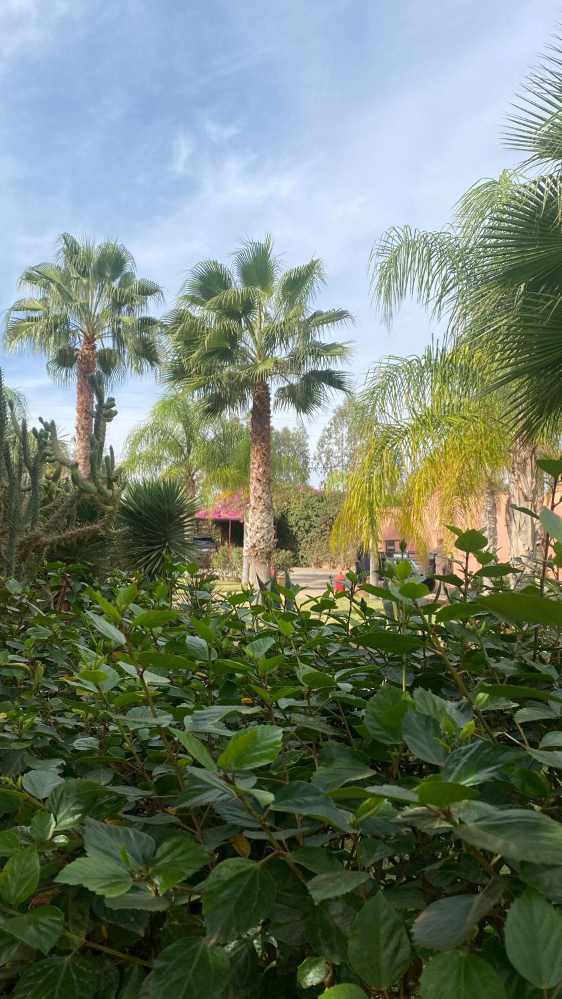 Le Rubis Oriental Marrakech Hotel Azib Oulad Lâdem Екстериор снимка
